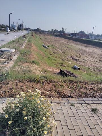 Plot Area in  Plot at Amolik Aster Woods, Sector 98 – for Sale