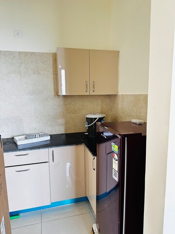 Kitchen in 1 BHK Apartment at New Chandigarh – for Sale