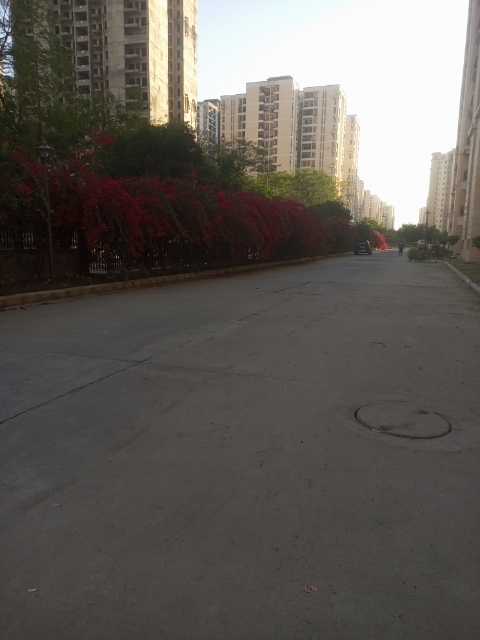 4 BHK Apartment For Sale in Jaypee Greens Knight Court