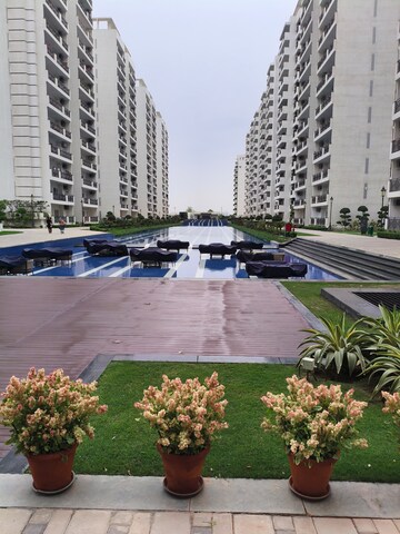 3 BHK Apartment For Rent in Central Park Flower Valley Aqua Front Towers, Sohna Sector 33