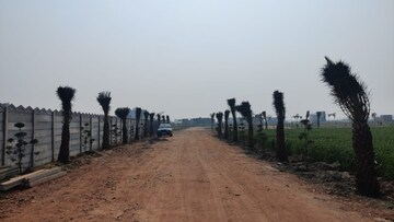 Plot Area in  Plot at Padghawali – for Sale