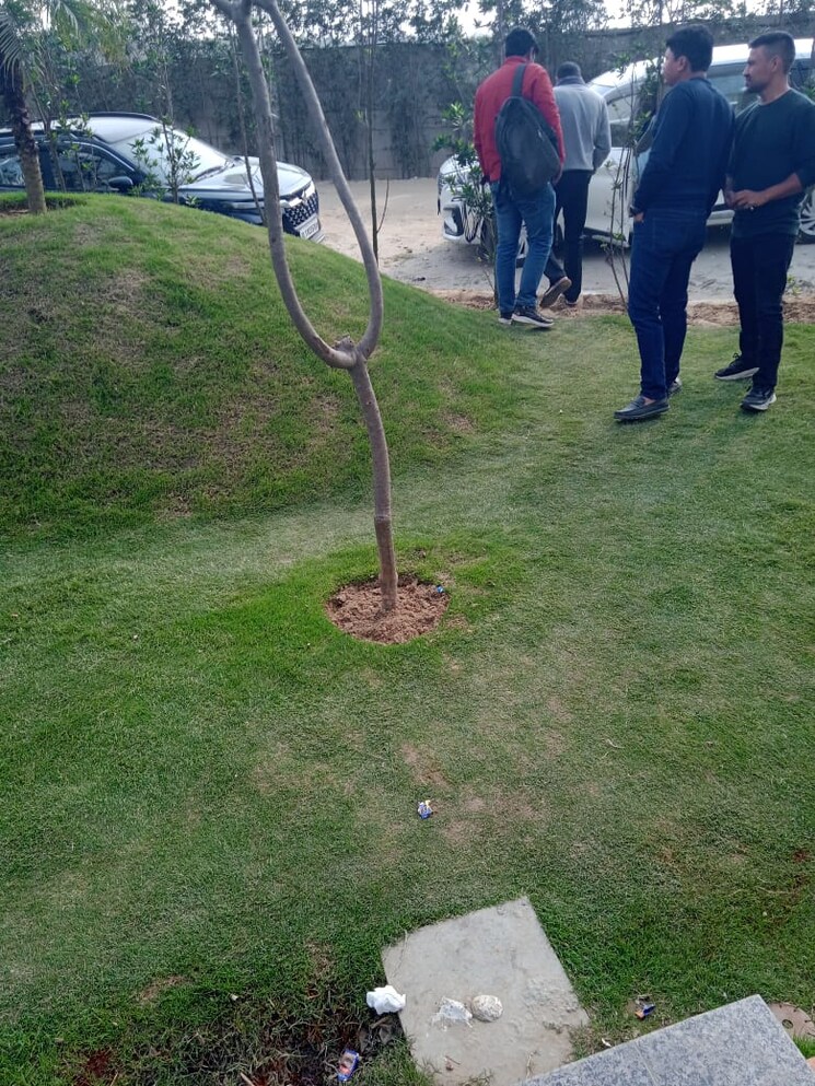 Garden, kanha-greens  165 Sq.Yd. Plot In Modipuram Meerut 8313841