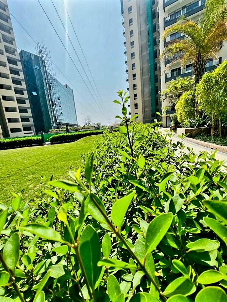 Garden, azeagaia-botanica 3 Bedroom 1629 Sq.Ft. Apartment In Vrindavan Yojna Lucknow 8313893