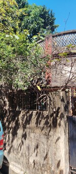 2160 Sq.Ft. Plot in Swan Green