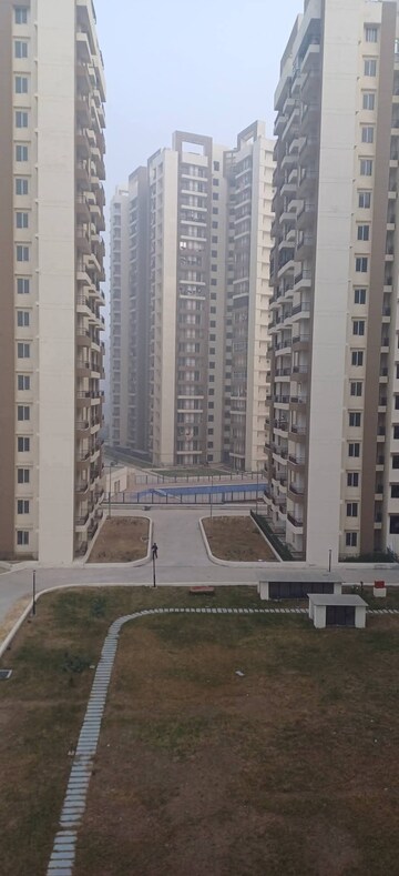 2.5 BHK Apartment For Rent in Amrapali Golf Homes, Sector 4, Greater Noida