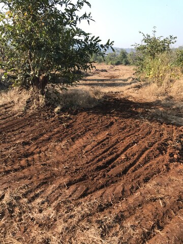 Plot Area in  Plot at Mangaon – for Sale