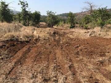 Plot Area in  Plot at Mangaon – for Sale