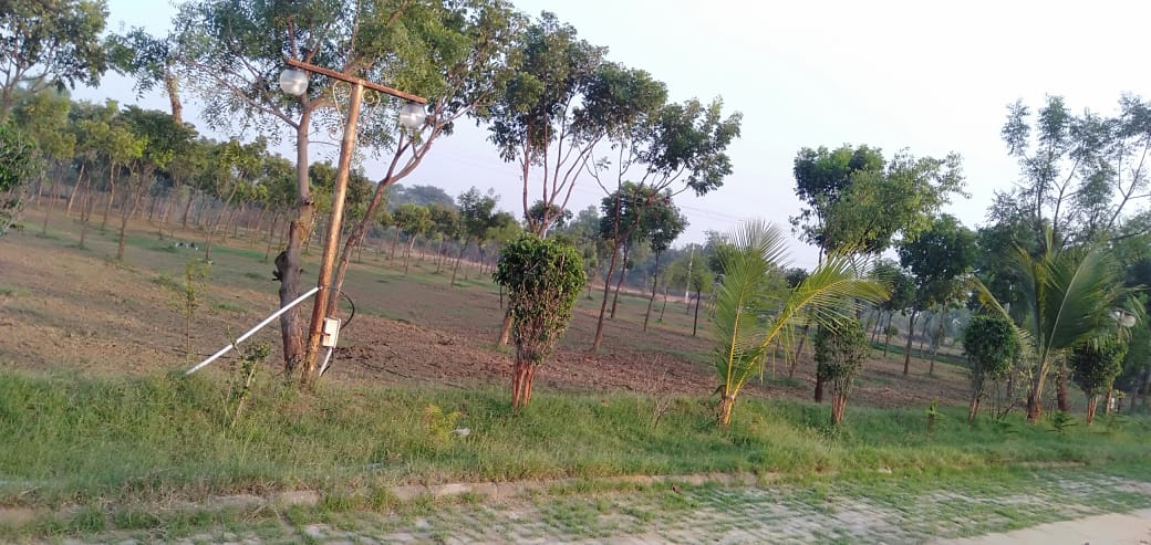 Land For Sale in Ambli Road