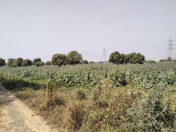 Commercial Industrial Plot 257 Acre For Resale in Vadodara - Savli Road Vadodara  8314335