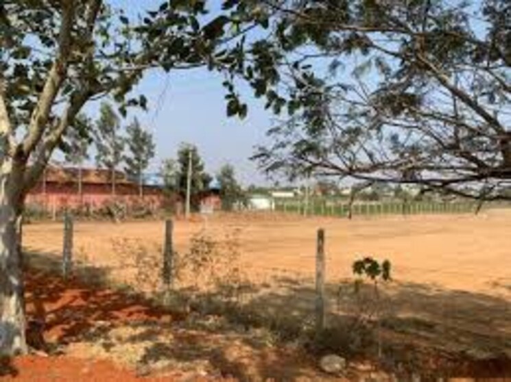 Listing Cover Image