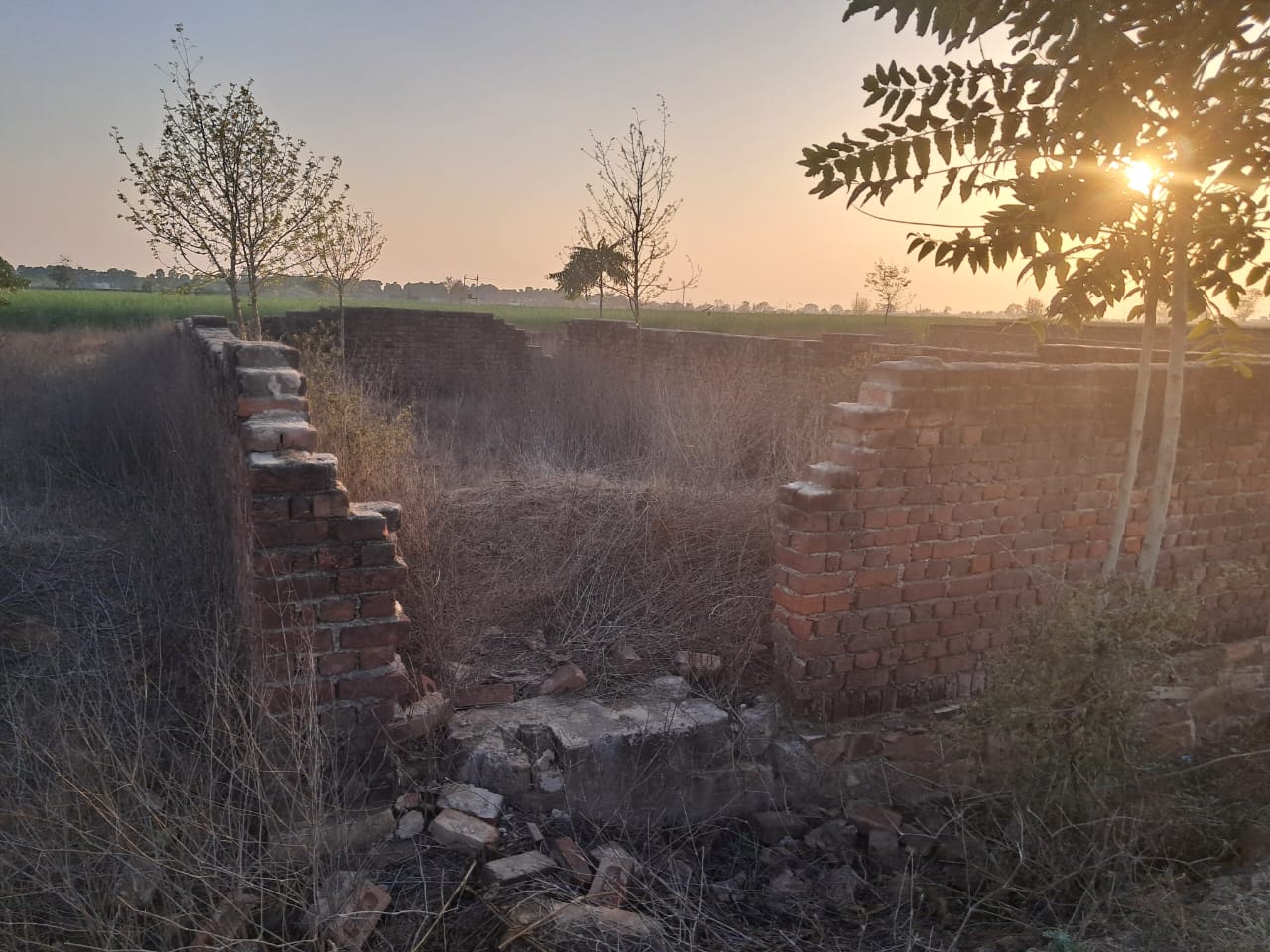 Plot For Sale in Rohini Sector 26