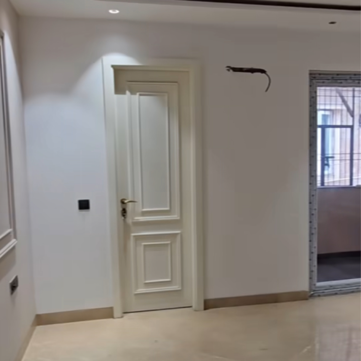 4 BHK Builder Floor For Sale in Patel Nagar