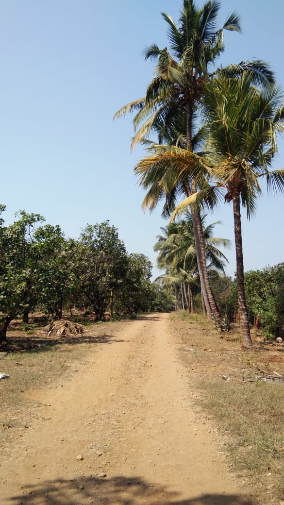 Plot For Sale in Surat