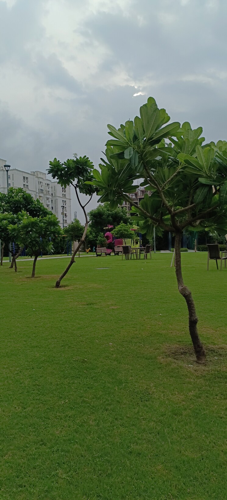 Garden, ansal-sushant-golf-city  2821 Sq.Ft. Plot In Sushant Golf City Lucknow 8314746
