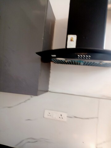 3 BHK Builder Floor For Rent in Freedom Fighters Enclave