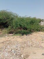 100 Sq.Yd. Plot in Rohini Sector 26