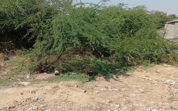 Plot For Sale in Rohini Sector 26