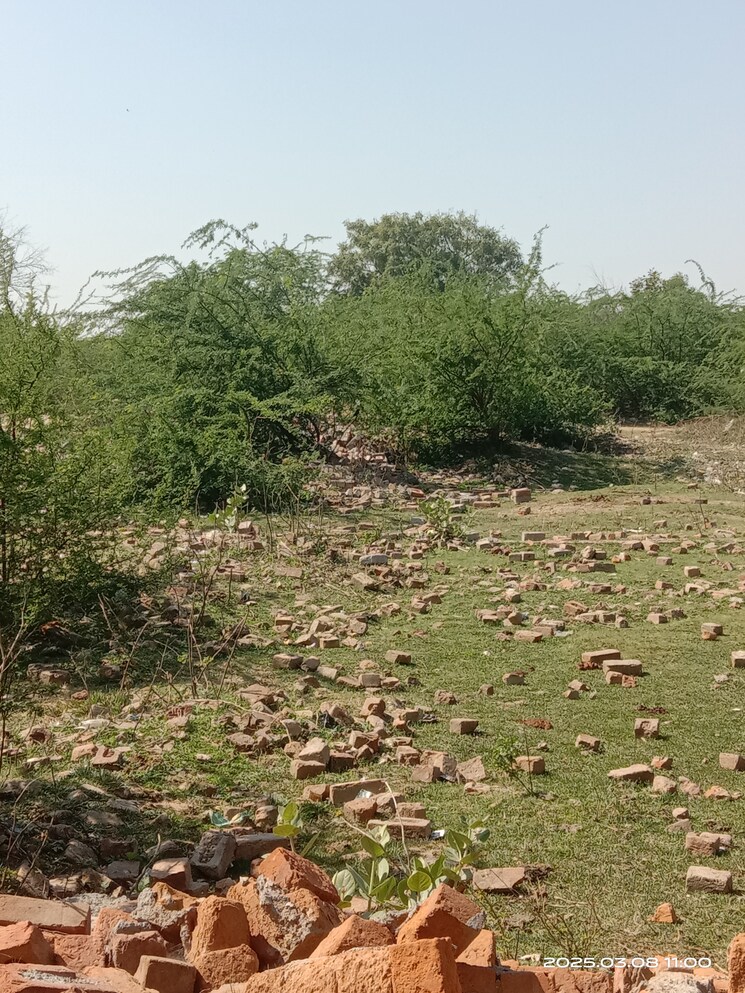 undefined, rohini sector 26  100 Sq.Yd. Plot In Rohini Sector 26 Delhi 8315560