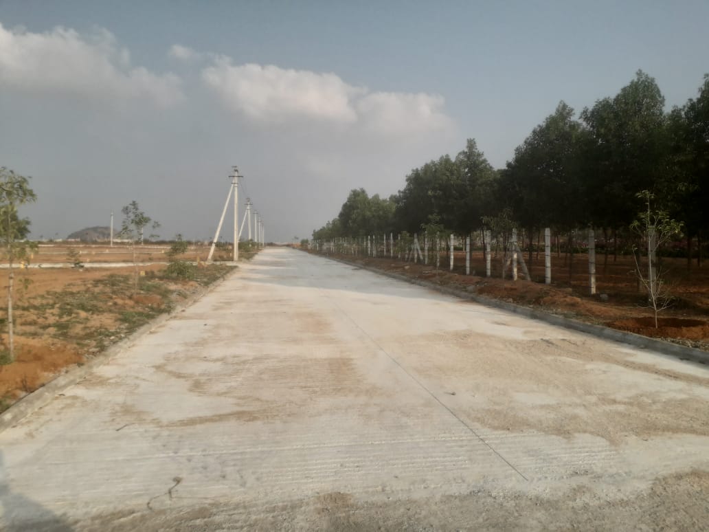 Plot For Sale in Fortune Butterfly City