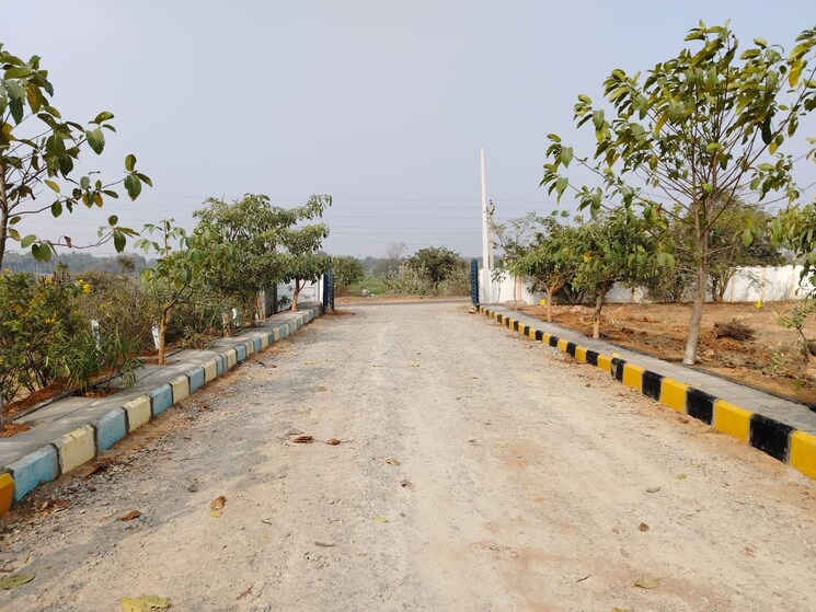 undefined, shadnagar  156 Sq.Yd. Plot In Shadnagar Hyderabad 8315976