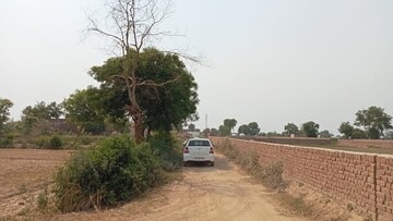 Plot Area in  Plot at Jewar – for Sale
