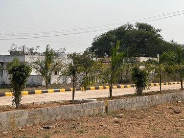 Plot Area in  Plot at Narsampally – for Sale