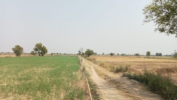  Plot For Sale in Jewar