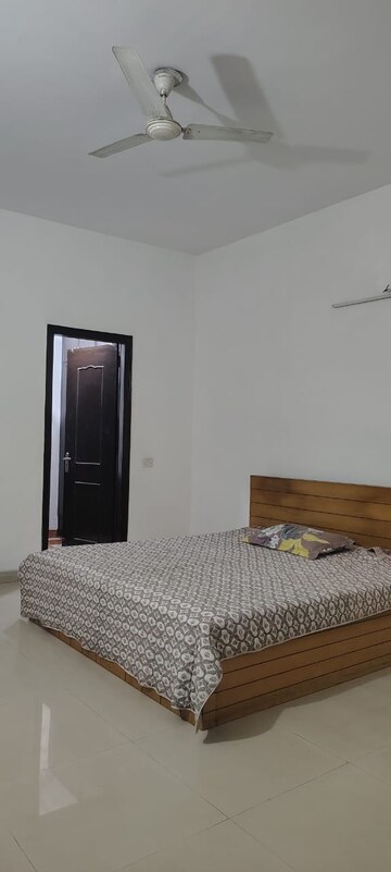 1 RK Villa For Rent in Sector 36 Noida  8316615