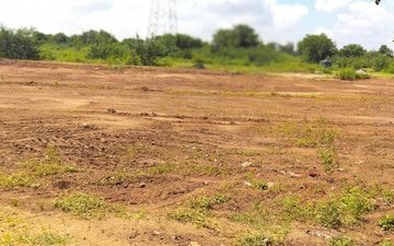 Plot For Sale in Katedhan
