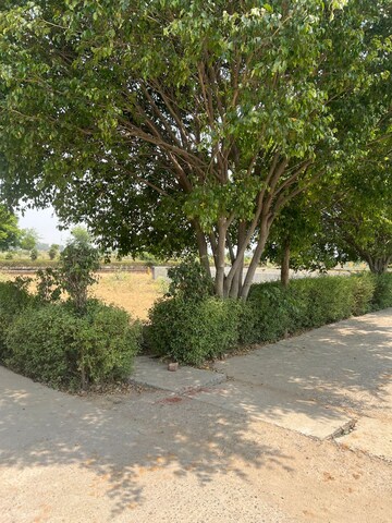 Plot Area in  Plot at Tappal – for Sale