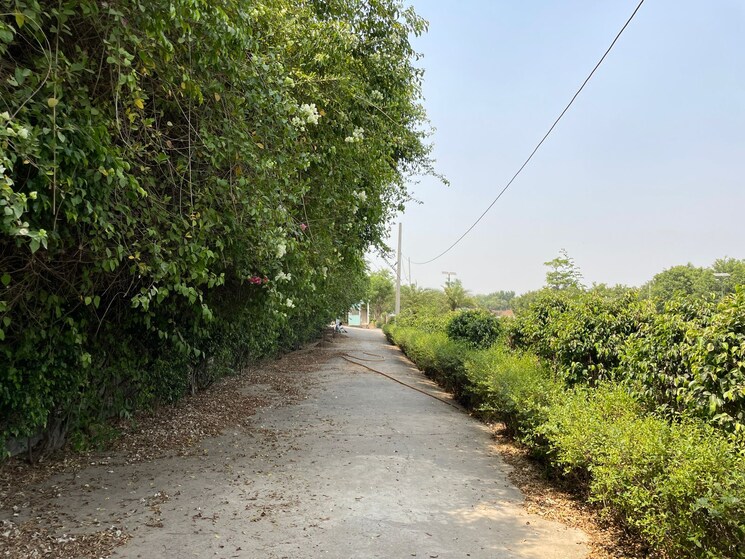 undefined, tappal  400 Sq.Yd. Plot In Tappal Aligarh 8316835