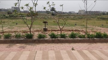 Plot Area in  Plot at Patiala Road – for Sale