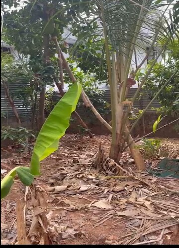 Plot Area in  Plot at Viyyur – for Sale