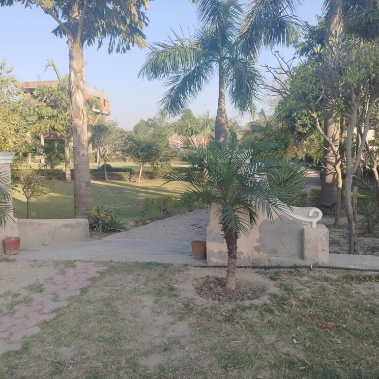 Exterior View, zestha-bhagirath-vihar-residency  144 Sq.Yd. Plot In Murshadpur Greater Noida 8319015