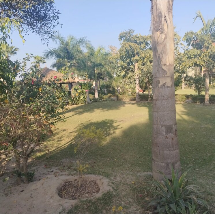 Exterior View, zestha-bhagirath-vihar-residency  144 Sq.Yd. Plot In Murshadpur Greater Noida 8319015