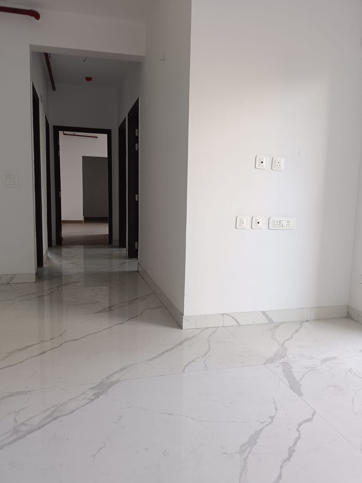 3 BHK Apartment For Sale in Ace Divino