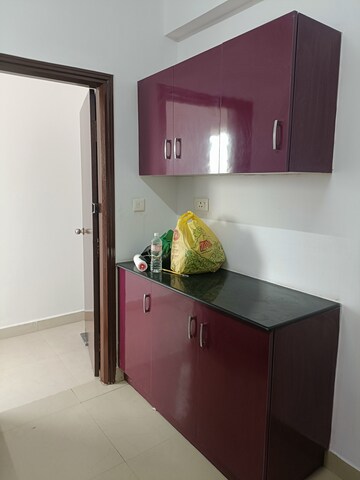 Kitchen in 2 BHK Apartment at Emami Swanlake, Kukatpally – for Sale