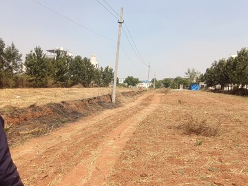 Plot Area in  Land at Global Avenue, Peenya – for Rent
