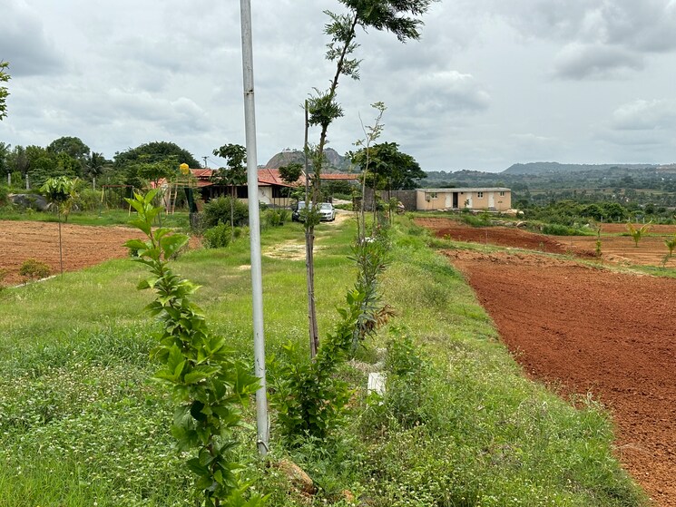 Garden, denkanikotta rd Commercial Land 10010 Sq.Ft. In Denkanikotta rd Hosur 8320723