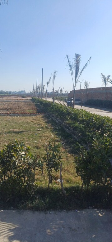 Plot Area in  Plot at Jewar – for Sale