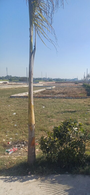 Plot Area in  Plot at Jewar – for Sale