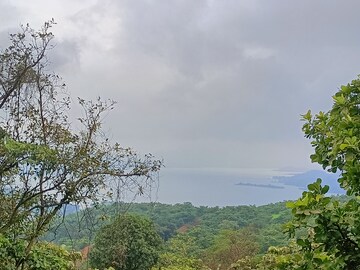  Plot – Garden View at Mulshi - for Sale