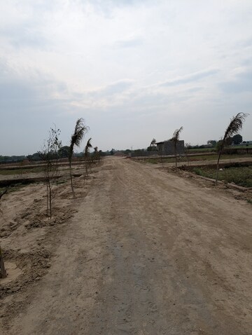 Plot Area in  Plot at Gautam Buddha University – for Sale