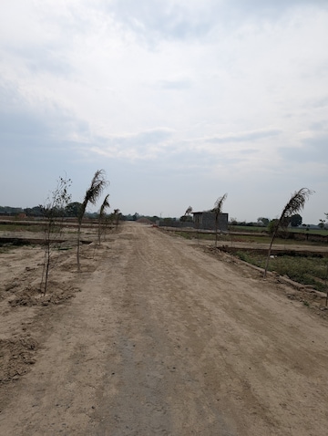 Plot For Resale in Gautam Buddha University Greater Noida  8321017