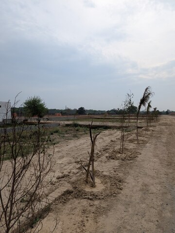 Plot Area in  Plot at Gautam Buddha University – for Sale