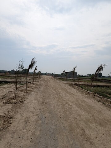 Plot Area in  Plot at Gautam Buddha University – for Sale