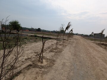 Plot Area in  Plot at Gautam Buddha University – for Sale