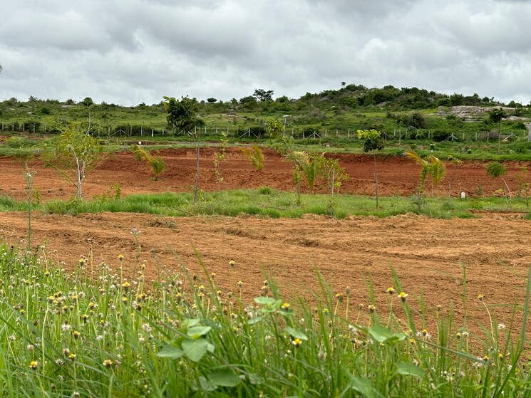 undefined, denkanikotta rd  10000 Sq.Ft. Plot In Denkanikotta rd Hosur 8320695