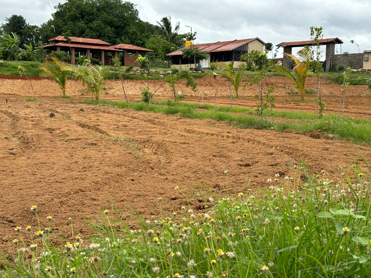 undefined, denkanikotta rd  10000 Sq.Ft. Plot In Denkanikotta rd Hosur 8320695