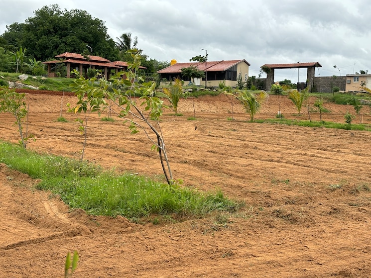 undefined, denkanikotta rd  10000 Sq.Ft. Plot In Denkanikotta rd Hosur 8320695